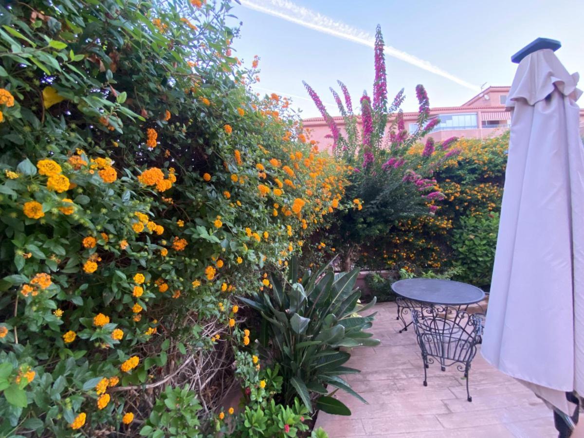 Apartamento Jardin Sanlucar Sanlúcar de Barrameda Dış mekan fotoğraf