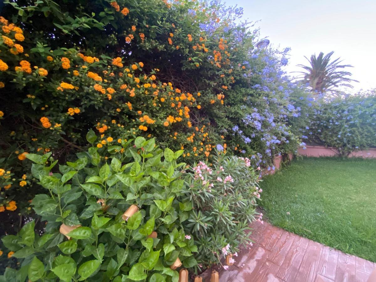 Apartamento Jardin Sanlucar Sanlúcar de Barrameda Dış mekan fotoğraf